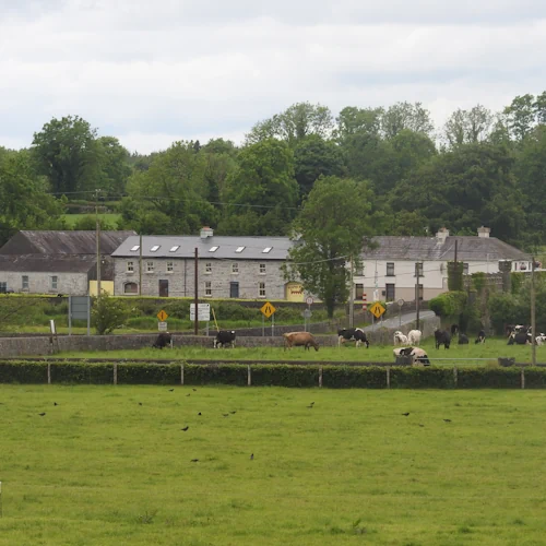 Irish Ancestral Village for Heritage Research